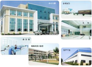 广东曙光通信光缆厂公司简介